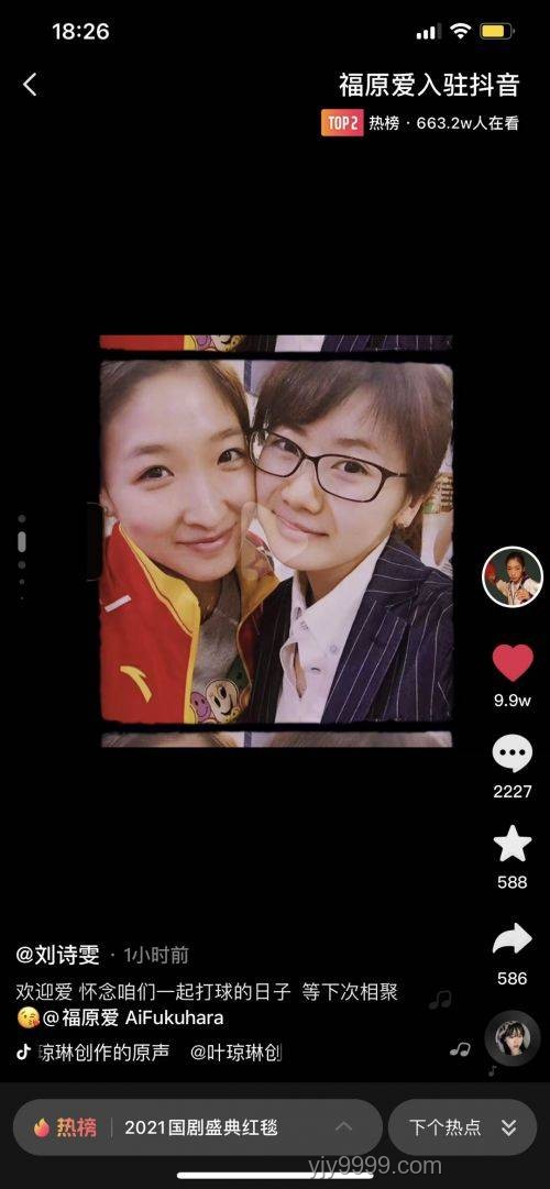 喜欢看鸭子吃浮漂？这个视频集锦让你一次看过瘾！
